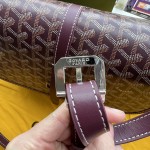 GOYARD Minaudi ère W25