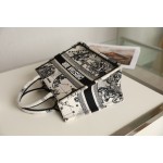 DIOR TOTE new constellation embroidery