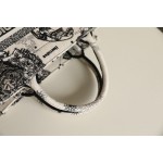 DIOR TOTE new constellation embroidery