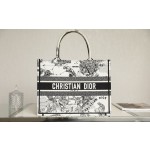 DIOR TOTE Constellation Embroidery