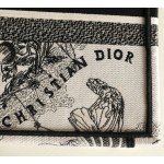 DIOR TOTE Constellation Embroidery