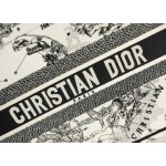 DIOR TOTE Constellation Embroidery
