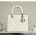 DIOR Lady five compartments Technical fabric fabric white DR-051