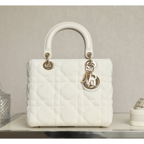 DIOR Lady five compartments Technical fabric fabric white DR-051