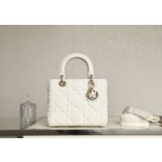 DIOR Lady five compartments Technical fabric fabric white DR-051