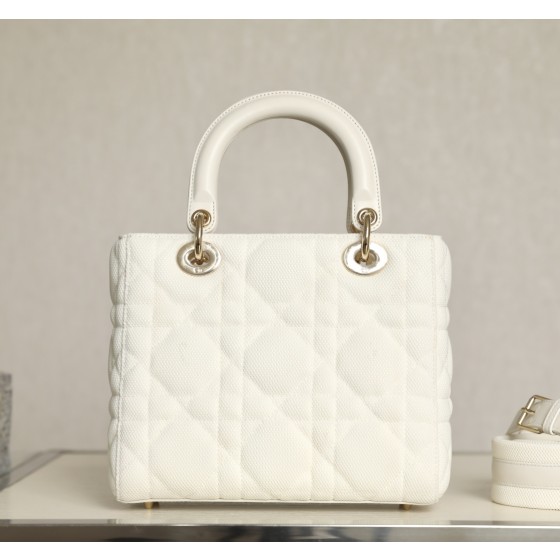 DIOR Lady five compartments Technical fabric fabric white DR-051