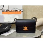 CELINE Arc de Triomphe Black Gold 𝗯𝗼𝘅 Medium Model: 187363