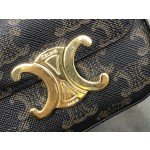 CELINE 𝗧𝗥𝗜𝗢𝗠𝗣𝗛⻼𝗠𝗜𝗡𝗜 Triumphal Arch Mini Crossbody Bag Model: 101513