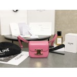 CELINE 𝗧𝗥𝗜𝗢𝗠𝗣𝗛⻼𝗠𝗜𝗡𝗜 Triumphal Arch Mini Crossbody Bag Model: 101513