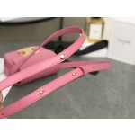 CELINE 𝗧𝗥𝗜𝗢𝗠𝗣𝗛⻼𝗠𝗜𝗡𝗜 Triumphal Arch Mini Crossbody Bag Model: 101513