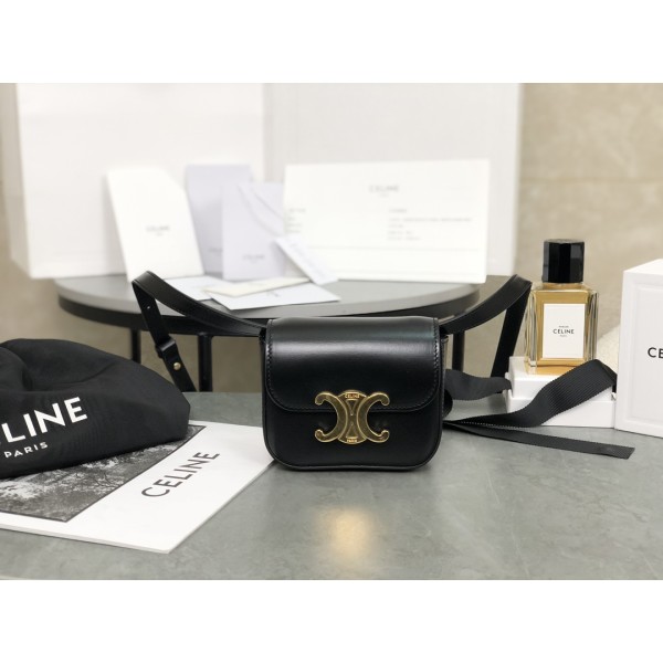 CELINE 𝗧𝗥𝗜𝗢𝗠𝗣𝗛⻼𝗠𝗜𝗡𝗜 Triumphal Arch Mini Crossbody Bag Model: 101513