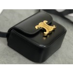 CELINE 𝗧𝗥𝗜𝗢𝗠𝗣𝗛⻼𝗠𝗜𝗡𝗜 Triumphal Arch Mini Crossbody Bag Model: 101513