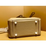 Mini Lindy cookie color tc leather gold buckle