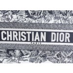 DIOR TOTE blue striped tiger pattern