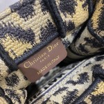 Dior Tote latest vertical version mini