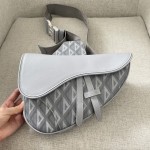 Dior- saddle bag in Dior gray canvas model D8004