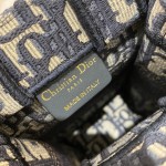 Dior Tote latest vertical version mini