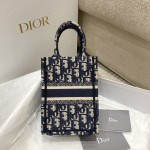 Dior Tote latest vertical version mini