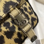 Dior new messenger bag