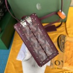 GOYARD Minaudi ère W24