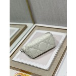 Dior Travel Nomad Clutch Bag