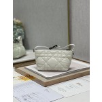 Dior Travel Nomad Clutch Bag