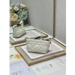 Dior Travel Nomad Clutch Bag