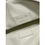 Dior Travel Nomad Clutch Bag