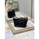 Dior Travel Nomad Clutch Bag