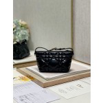 Dior Travel Nomad Clutch Bag