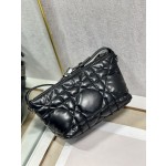 Dior Travel Nomad Clutch Bag
