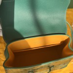 GOYARD mini Saigon 西贡W15