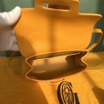 GOYARD mini Saigon 西贡W15