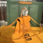 GOYARD mini Saigon 西贡W15