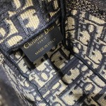 DIOR latest messenger bag