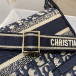 DIOR latest messenger bag