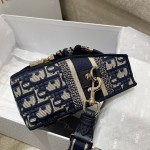 DIOR latest messenger bag