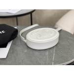 CELINE Small Mooncake Bag Model: 101703