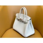 Birkin 25 Glacier White Togo Skin Rose Gold Buckle