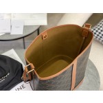 CELINE Medium Size 𝗧𝗿𝗶𝗼𝗺𝗽𝗵𝗲 Water Bucket Bag Model: 191132