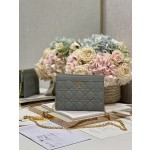 Dior Caro Zip Clutch3102