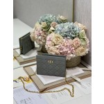 Dior Caro Zip Clutch3102