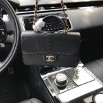 CHANEL model 24313mini cover bag