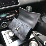 CHANEL model 24313mini cover bag