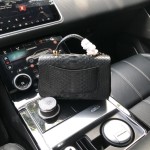 CHANEL model 24313mini cover bag