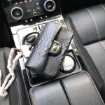 CHANEL model 24313mini cover bag