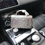 CHANEL model 24313mini cover bag