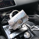 CHANEL model 24313mini cover bag