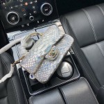 CHANEL model 24313mini cover bag