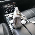 CHANEL model 24313mini cover bag